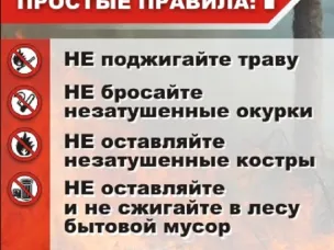 Пожарная безопасность в лесу.
